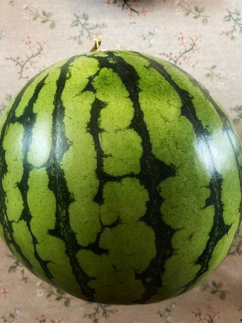 香港表演吃瓜事件